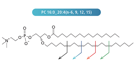 oxygen attachment dissociation